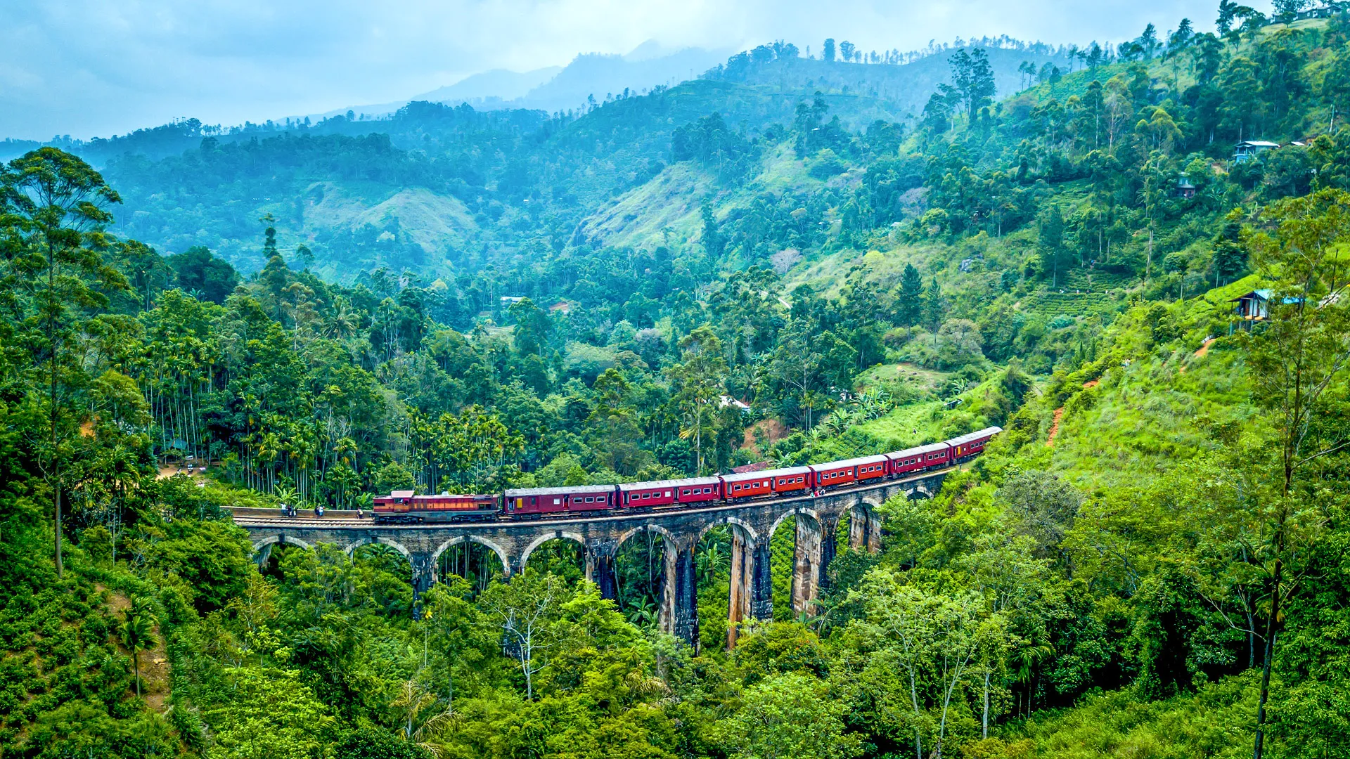 01NUWA IM0001 nuwara eliya