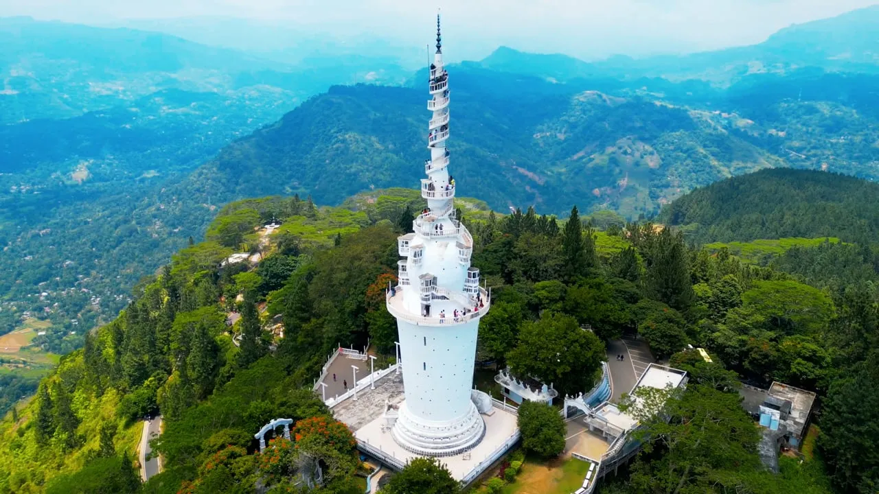 177127 856658451 tiny