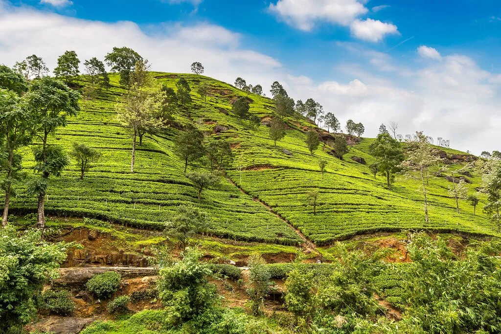 original 86912bb239168722720ad72