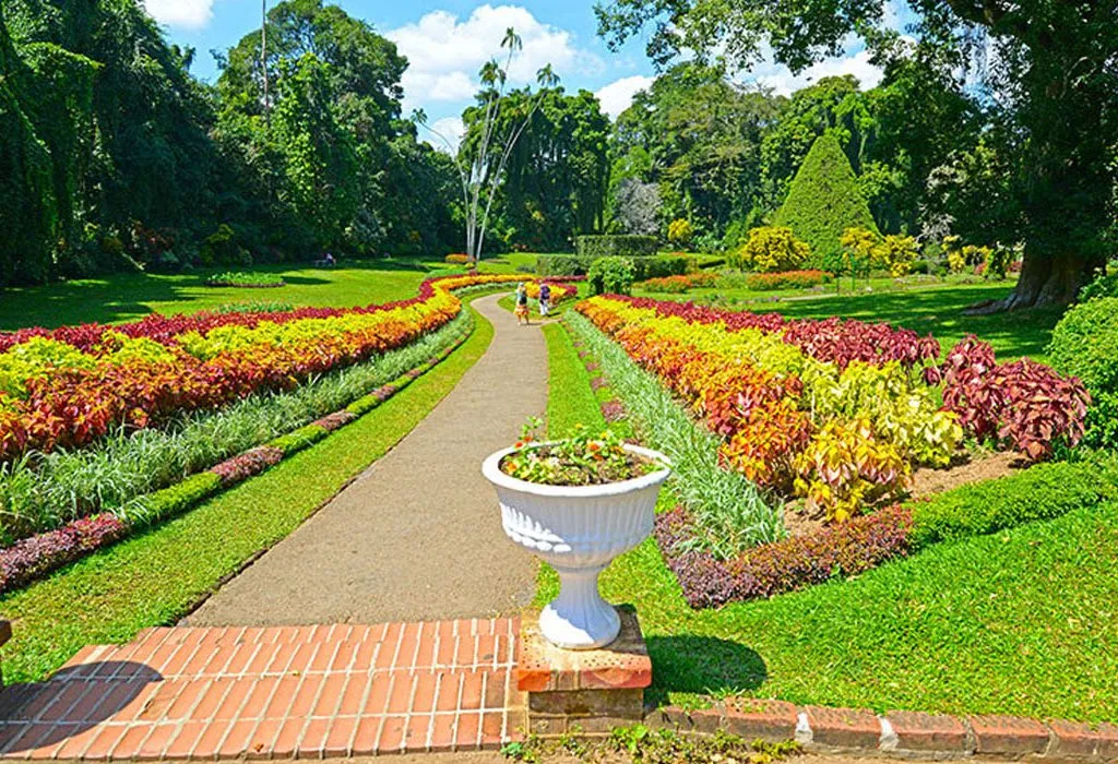 peradeniya royal botanical gaede